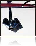 collage_image