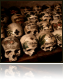 collage_image