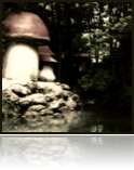 collage_image