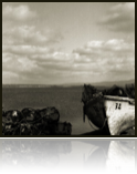 collage_image
