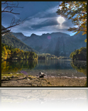 collage_image
