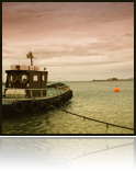 collage_image