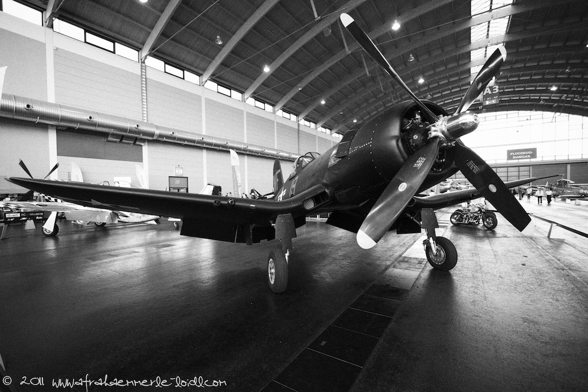 Q_MG_1229 gallery