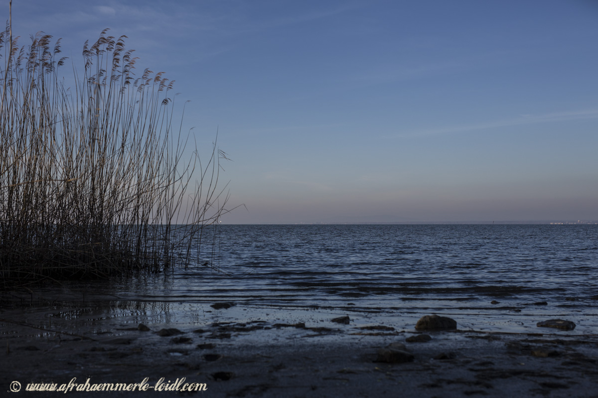 _FST8485 gallery